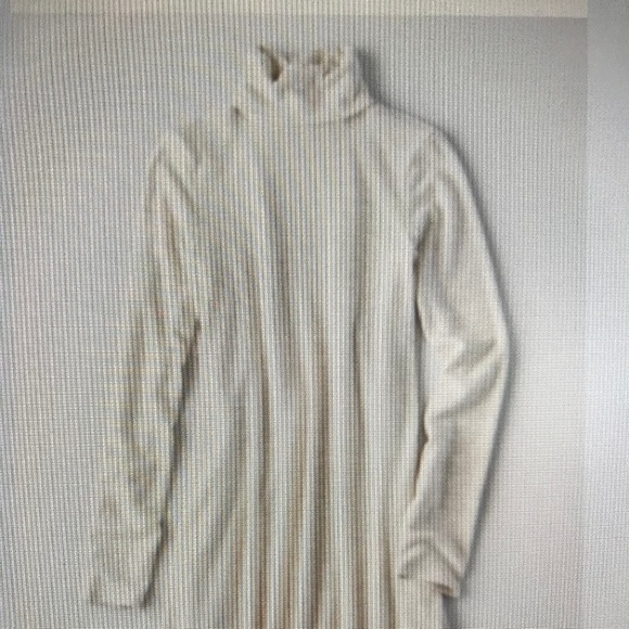 American Eagle Dresses & Skirts - American Eagle Long Sleeve Turtle Neck Swing Dress